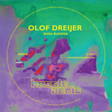 Olof Dreijer: “Rosa Rugosa”
